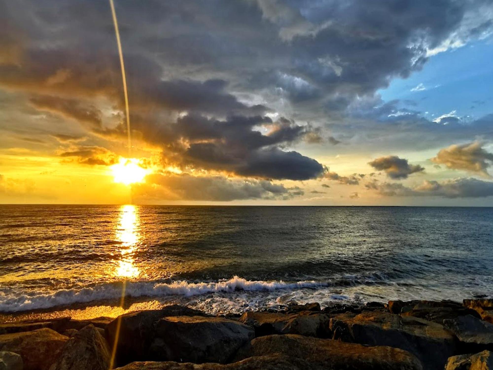View شقة